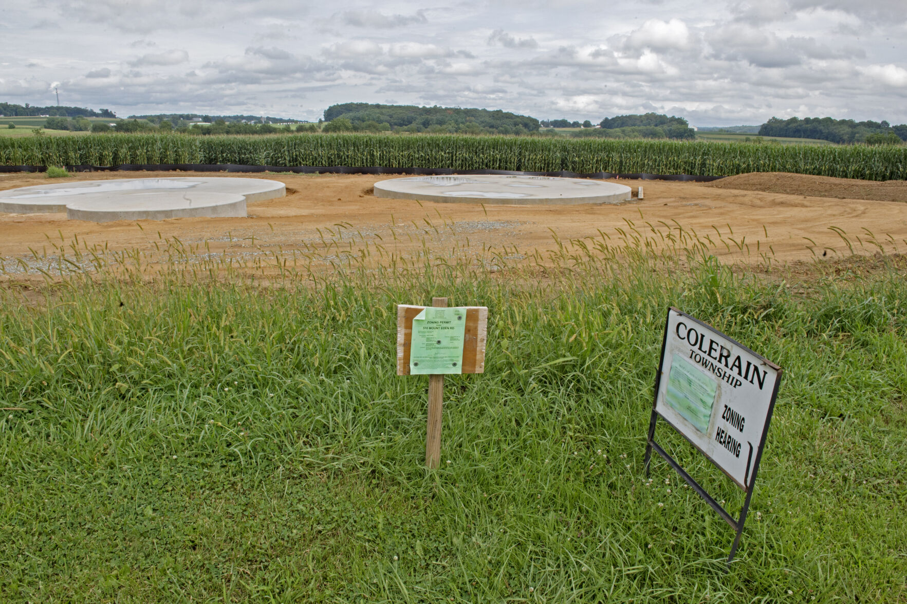 Duck Farm
